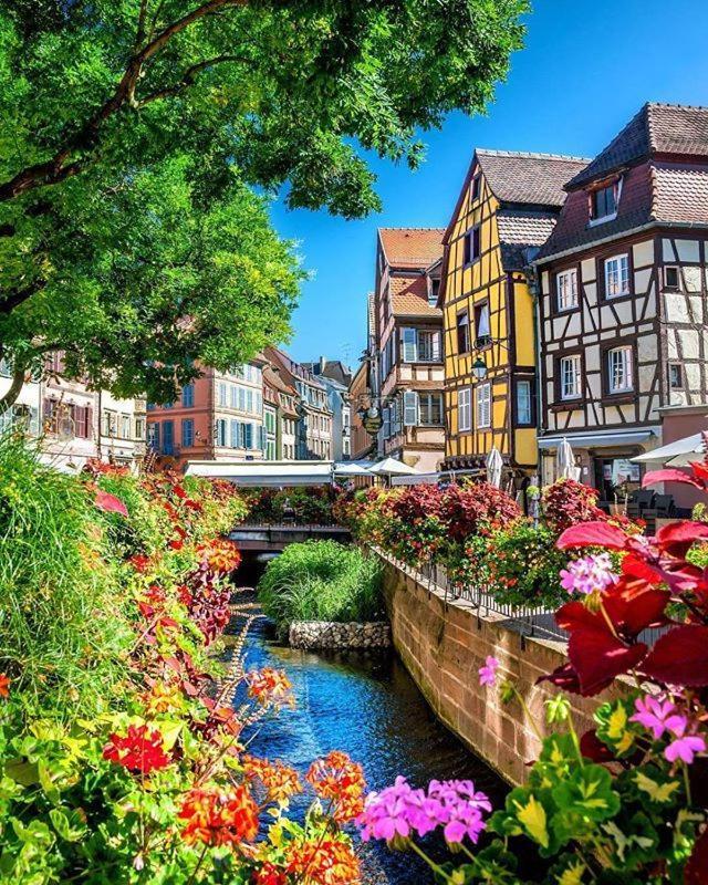 Chez Alice Daire Colmar Dış mekan fotoğraf